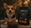 Corgi con alimento Molly